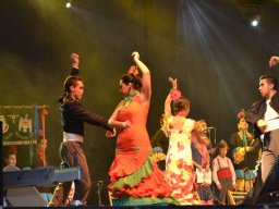 Festival de Folkore en Mula